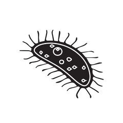 ICON BACTERIA