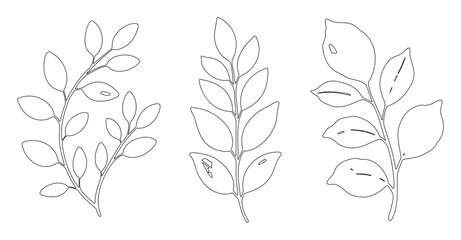 Detailed Leaf Line Drawings for Nature and Floral Art