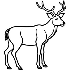 Minimal Elk Outline Vector 