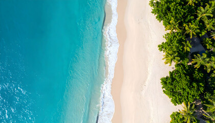 Aerial View of Tropical Beach Paradise: Turquoise Ocean, White Sand, Lush Palm Trees