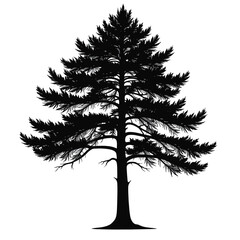 Black Silhouette Cedar Tree Vector with Horizontal Branch Layers and Dense Foliage in Flat Minimal Nature Style on White Background Full HD
