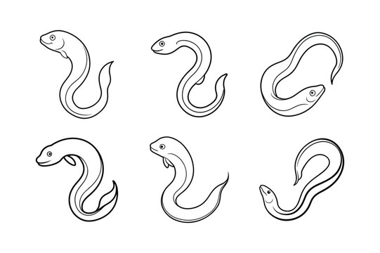 set of moray eel line art vector illustration