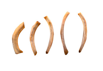 Row of thin clean fried pork ribs as leftover isolated on white, PNG