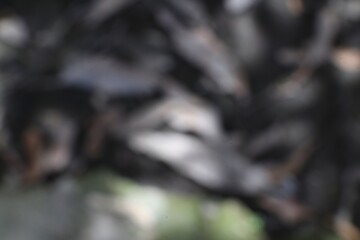 Abstract gray and dark composition with blurred shapes and textures