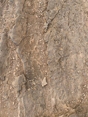 Brown Stone and Gravel Surface