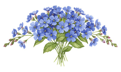 Fototapeta premium Watercolor Bouquet of Forget-Me-Not Flowers on transparent background