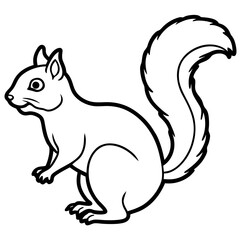 Minimal Squirrel Line Art Illustration
