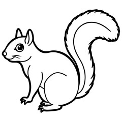 Minimal Squirrel Line Art Illustration