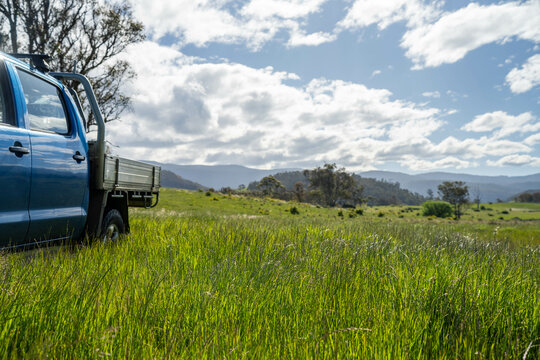 truck in a field of tall pasture grass in a farm. ute in the country, driving down a dirt road gravel road in outback australia in a ute truck on a farm a fence