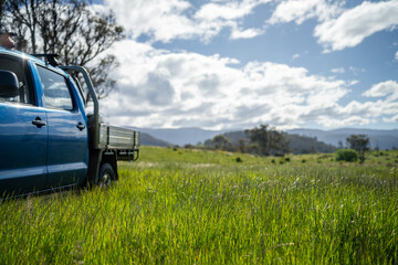 truck in a field of tall pasture grass in a farm. ute in the country, driving down a dirt road...