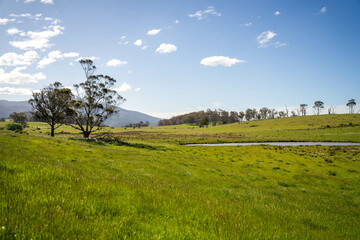 Green Pasture crop farm practicing Sustainable agriculture the Future of Regenerative Farming in...