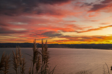 Fireworks Gisborne New Zealand