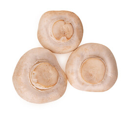 Three mushroom champignon