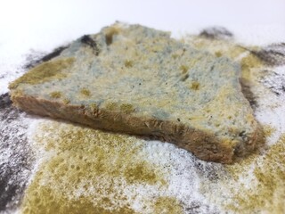 Expired bread covered with mold