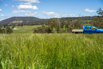 regenerative organic farmer, taking grass tissue samples and looking at plant growth in a farm....