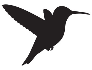 HUMMINGBIRD SILHOUETTE