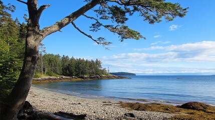 Serene coastal scene with a rocky beach, calm water, evergreen trees, and a partly cloudy sky