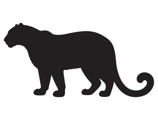  JAGUAR SILHOUETTE