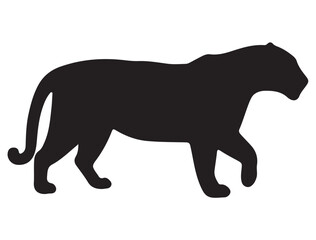  JAGUAR SILHOUETTE