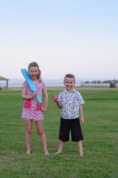 Brother and sister playing cricket in the park