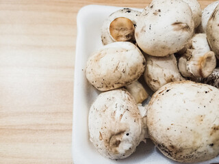 mushrooms on a white background