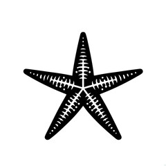 Fototapeta premium Starfish Silhouette