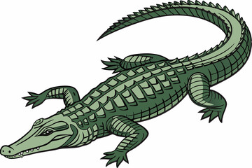 Naklejka premium Realistic green alligator illustration with textured scales and curved tail