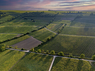 View over the green vineyards near Oppenheim in sunny weather, drone shot in summer