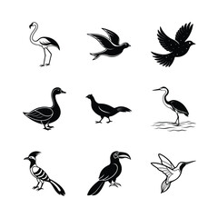 Fototapeta premium Collection of stylized bird illustrations in black and white perfect for nature design and logos