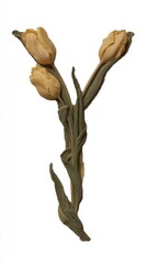 Obraz premium Decorative Arrangement of Yellow Tulips Forming Letter Y Shape