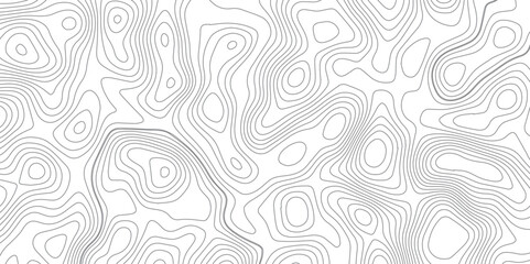 Panorama view gradient multicolor wave curve lines banner background design. Vector illustration. wave Line topography map contour background .Abstract Topographic map background with wave line.