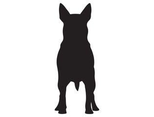 LANCASHIRE HEELER DOG SILHOUETTE