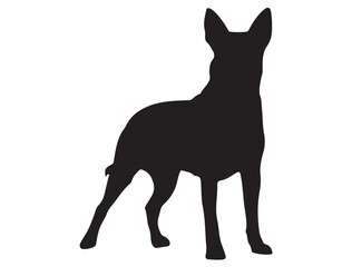 LANCASHIRE HEELER DOG SILHOUETTE