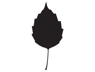 LEAF SILHOUETTE