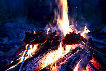 Two schnitzels roasting over an open campfire at night. Flames and glowing logs create a cozy...