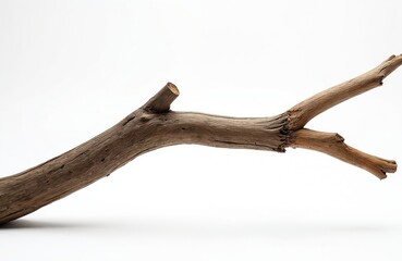 Fototapeta premium Wooden branch on white backdrop. Natural wood texture, weathered look. Rustic design, minimalist photo. Ideal for eco, nature themes, environmental topics. Concept of nature, wood, forest.