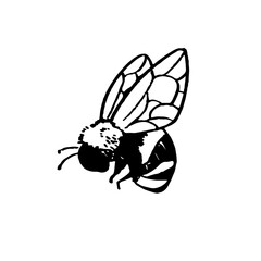 Abeille illustré Noir & Blanc (Vecteur)