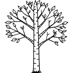 Birch line art vector