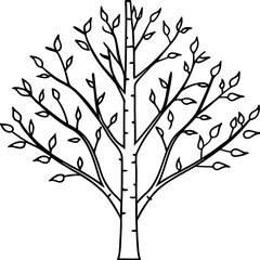 Birch line art vector