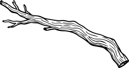 Realistic Driftwood Branch Vector Illustration for Nature Designs