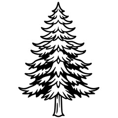 Cedar line art vector