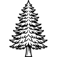 Cedar line art vector