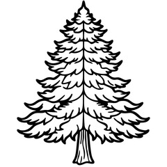 Cedar line art vector