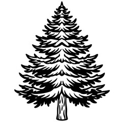 Cedar line art vector