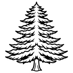 Cedar line art vector
