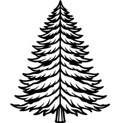 Obraz premium Cedar line art vector
