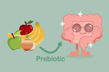 Happy Gut Character with Prebiotic Foods Like Banana, Apple, and Onion