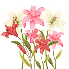 Bouquet of colorful spring flowers and leaf illustration design for background floral pattern Vanda Orchid Anthurium Pink Lily Flowers Blue Flower Watercolour Perfect for Wedding Card Design 