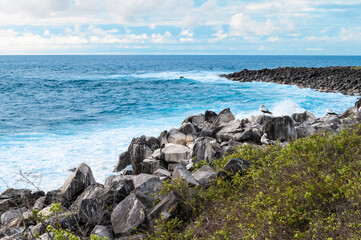 Rocky Coastline at Suarez Point, Galapagos, Ecuador