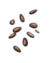 Obraz premium Watermelon Seeds Floating in Air Isolated on Transparent Background